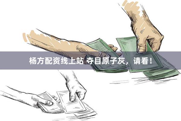 杨方配资线上站 夺目原子灰，请看！