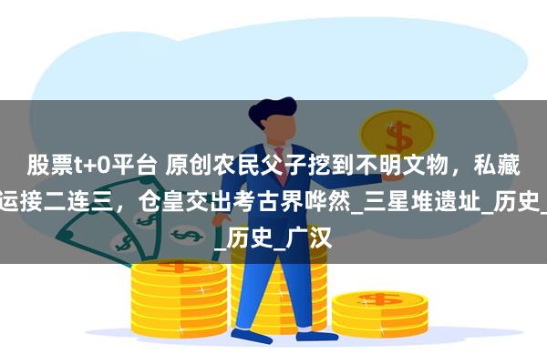 股票t+0平台 原创农民父子挖到不明文物，私藏后厄运接二连三，仓皇交出考古界哗然_三星堆遗址_历史_广汉